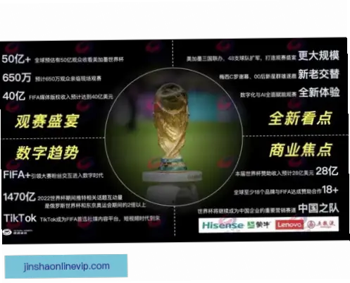 世界杯视频回放免费观看指南